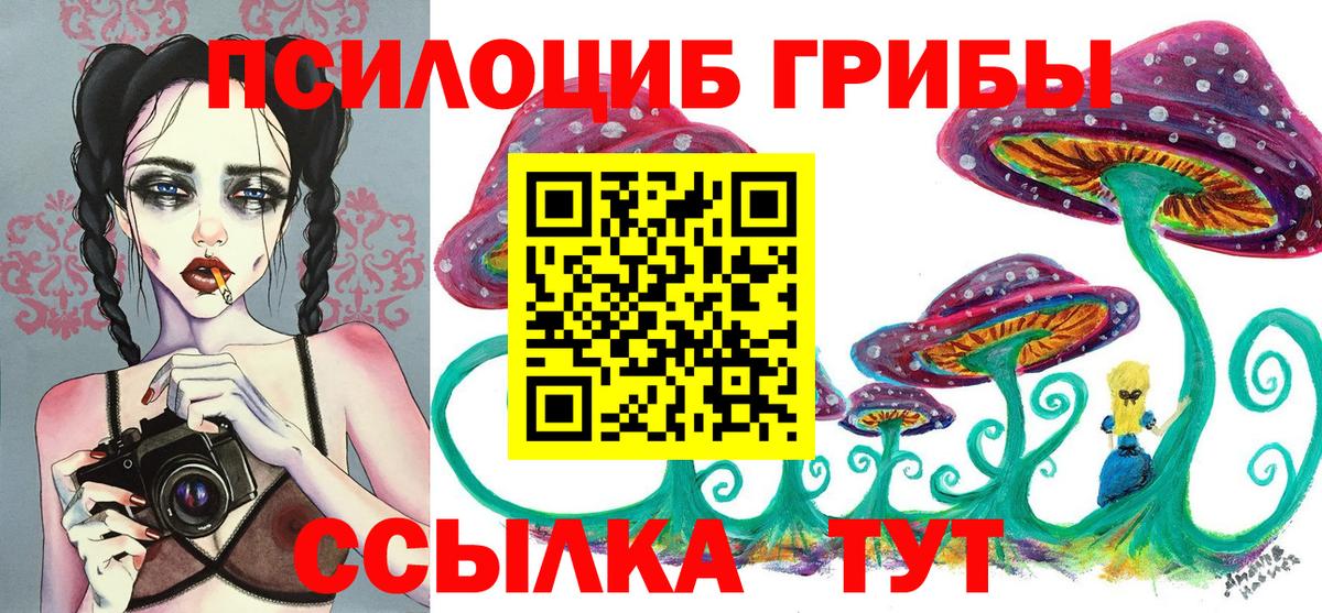 Псилоцибиновые грибы Cubensis Рубцовск