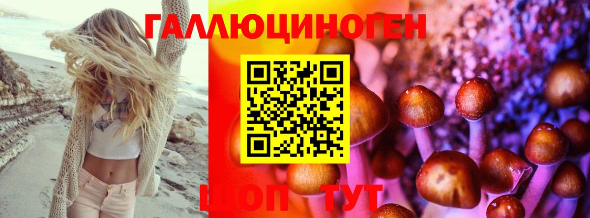 цены наркотик  Псилоцибиновые грибы MAGIC MUSHROOMS  Галлюциногенные грибы Psilocybe  Вход с VPN  Рубцовск 